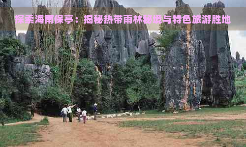 探索海南保亭：揭秘热带雨林秘境与特色旅游胜地