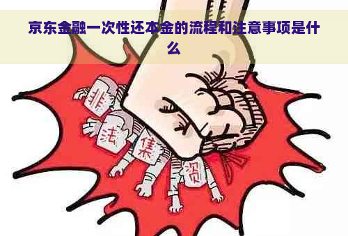 京东金融一次性还本金的流程和注意事项是什么