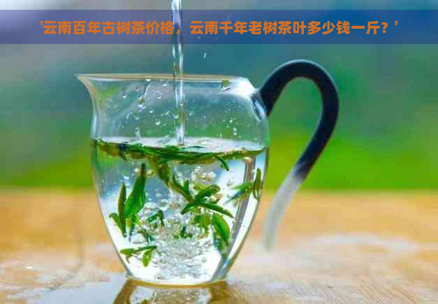 '云南百年古树茶价格，云南千年老树茶叶多少钱一斤？'