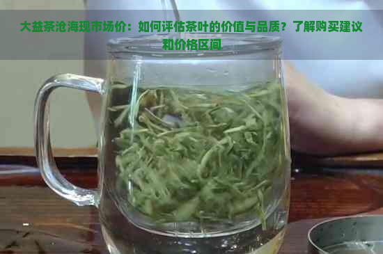 大益茶沧海现市场价：如何评估茶叶的价值与品质？了解购买建议和价格区间