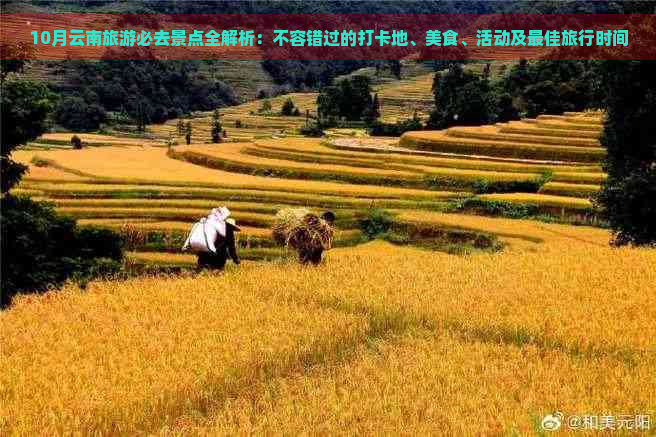 10月云南旅游必去景点全解析：不容错过的打卡地、美食、活动及更佳旅行时间