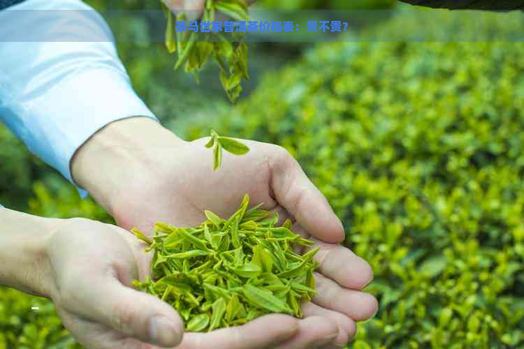 茶马世家普洱茶价格表：贵不贵？