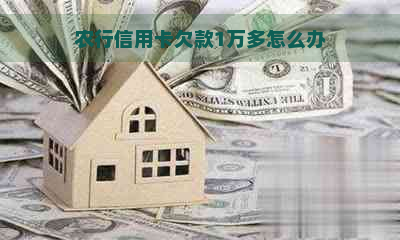 农行信用卡欠款1万多怎么办