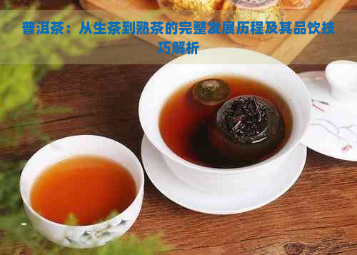 普洱茶：从生茶到熟茶的完整发展历程及其品饮技巧解析