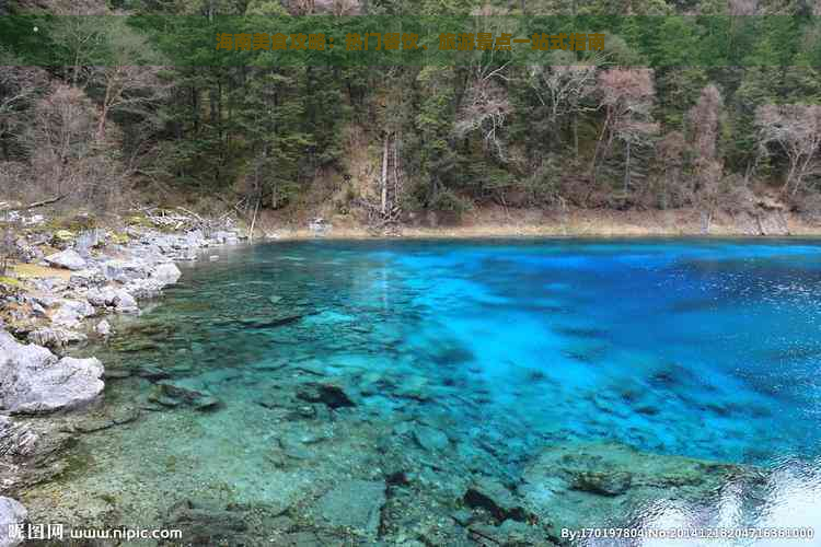 海南美食攻略：热门餐饮、旅游景点一站式指南