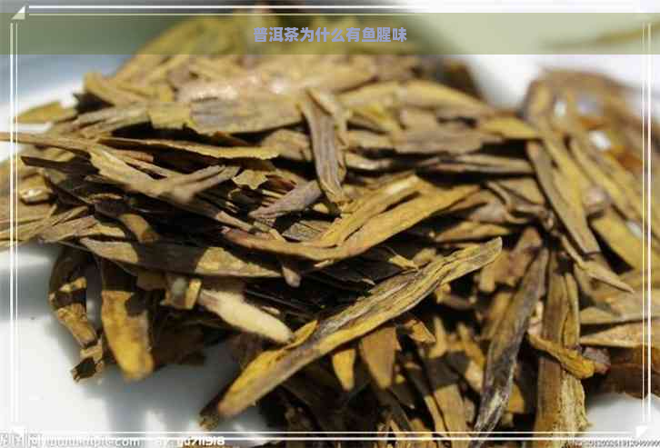 普洱茶为什么有鱼腥味