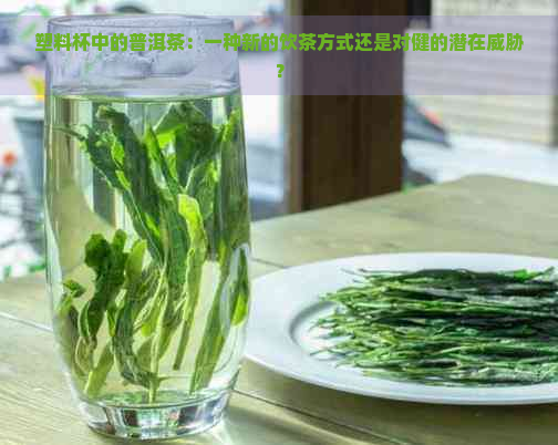 塑料杯中的普洱茶：一种新的饮茶方式还是对健的潜在？