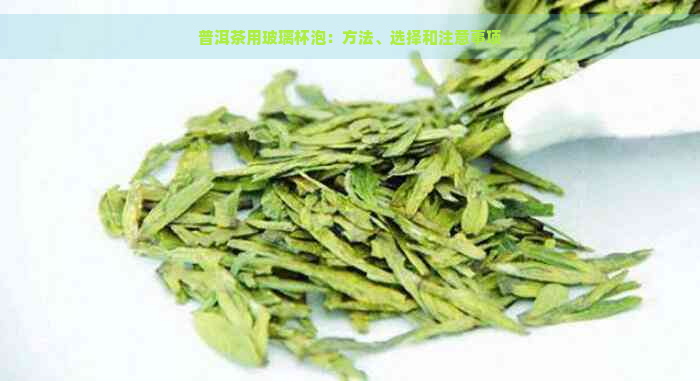 普洱茶用玻璃杯泡：方法、选择和注意事项