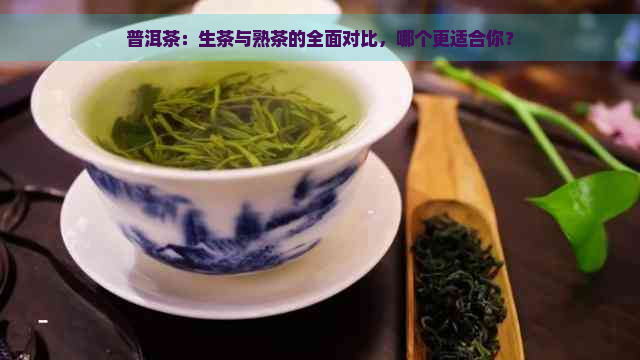 普洱茶：生茶与熟茶的全面对比，哪个更适合你？