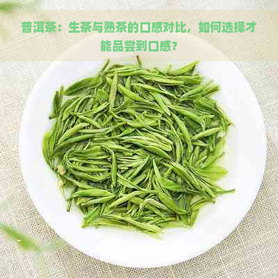 普洱茶：生茶与熟茶的口感对比，如何选择才能品尝到口感？