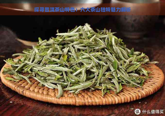 探寻普洱茶山特色：六大茶山独特魅力解析