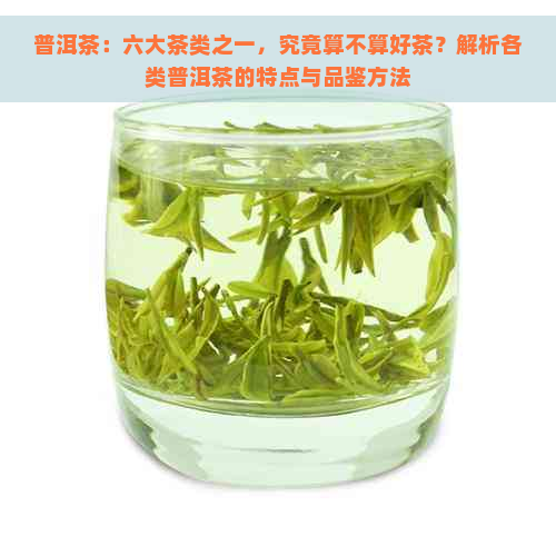 普洱茶：六大茶类之一，究竟算不算好茶？解析各类普洱茶的特点与品鉴方法