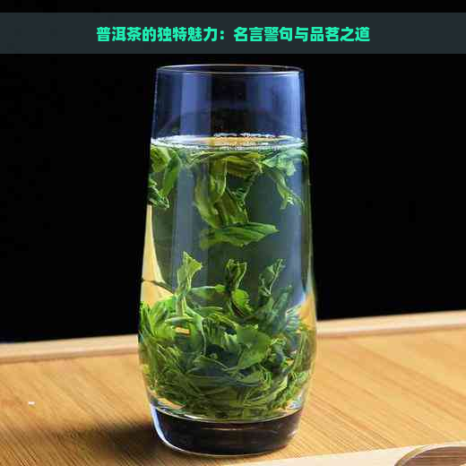 普洱茶的独特魅力：名言警句与品茗之道