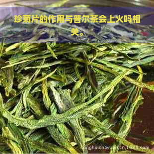 珍菊片的作用与普尔茶会上火吗相关。