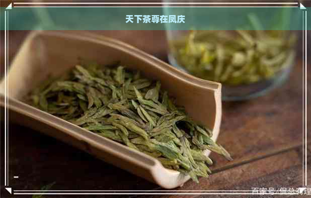 天下茶尊在凤庆