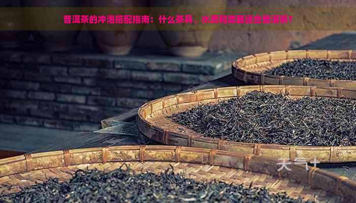 普洱茶的冲泡搭配指南：什么茶具、水质和度最适合普洱茶？