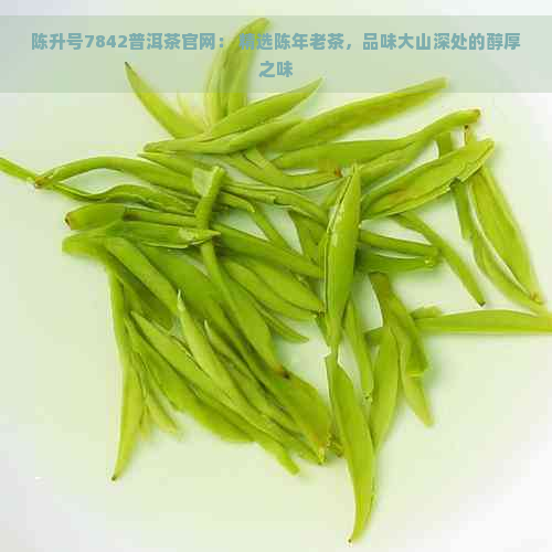 陈升号7842普洱茶官网： 精选陈年老茶，品味大山深处的醇厚之味