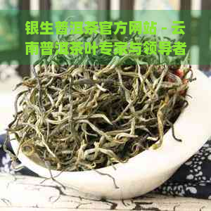 银生普洱茶官方网站 - 云南普洱茶叶专家与领导者