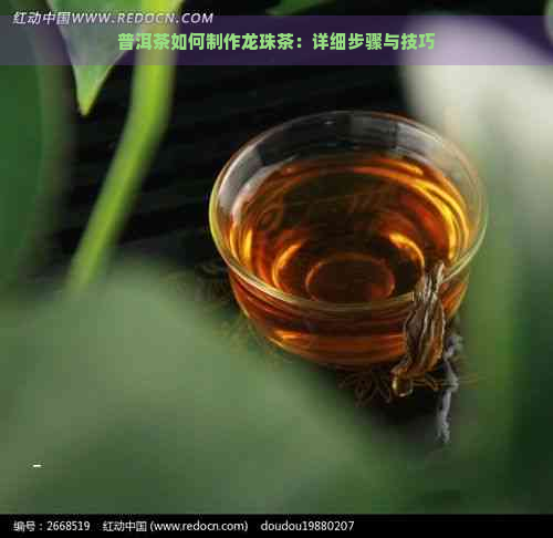 普洱茶如何制作龙珠茶：详细步骤与技巧