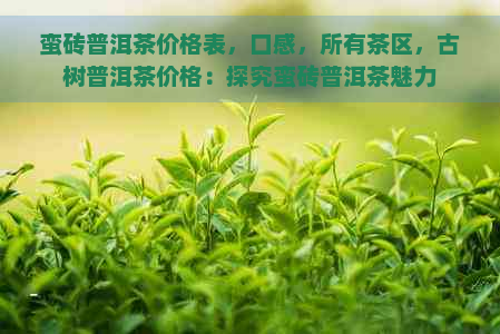 蛮砖普洱茶价格表，口感，所有茶区，古树普洱茶价格：探究蛮砖普洱茶魅力