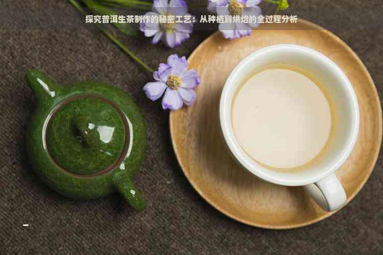 探究普洱生茶制作的秘密工艺：从种植到烘焙的全过程分析