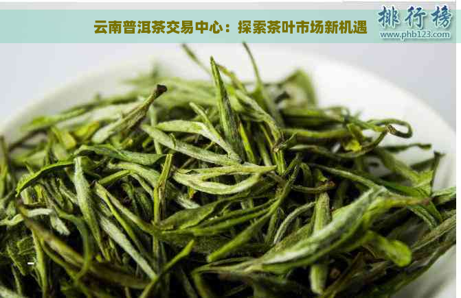 云南普洱茶交易中心：探索茶叶市场新机遇