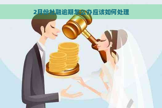 2月份社融逾期怎么办应该如何处理