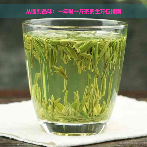 从健到品味：一年喝一斤茶的全方位指南