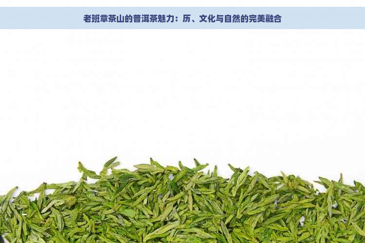 老班章茶山的普洱茶魅力：历、文化与自然的完美融合