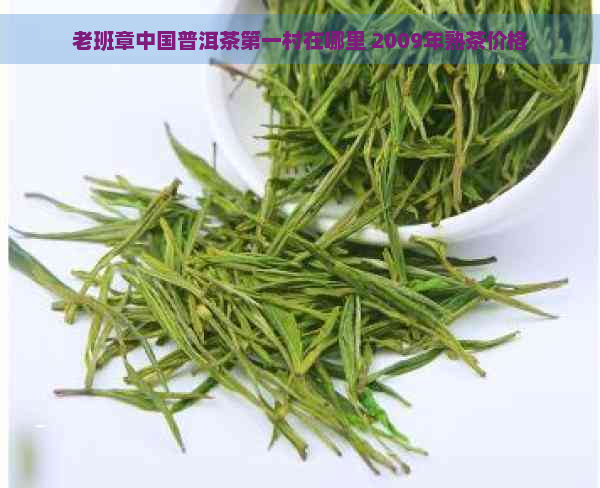 老班章中国普洱茶之一村在哪里 2009年熟茶价格