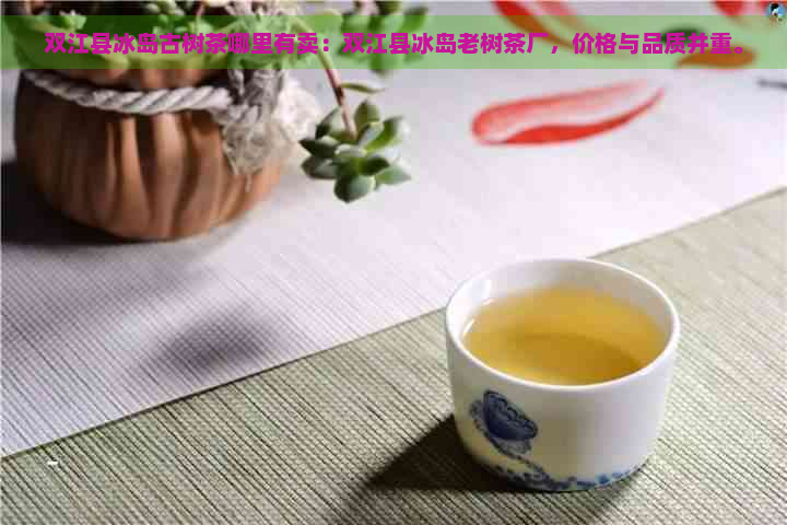 双江县冰岛古树茶哪里有卖：双江县冰岛老树茶厂，价格与品质并重。