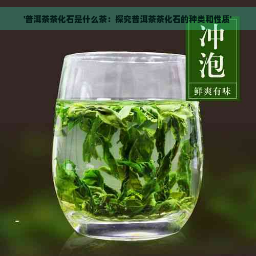 '普洱茶茶化石是什么茶：探究普洱茶茶化石的种类和性质'