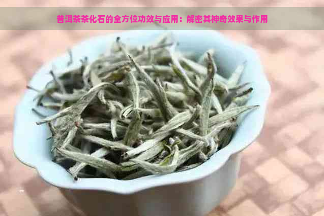 普洱茶茶化石的全方位功效与应用：解密其神奇效果与作用