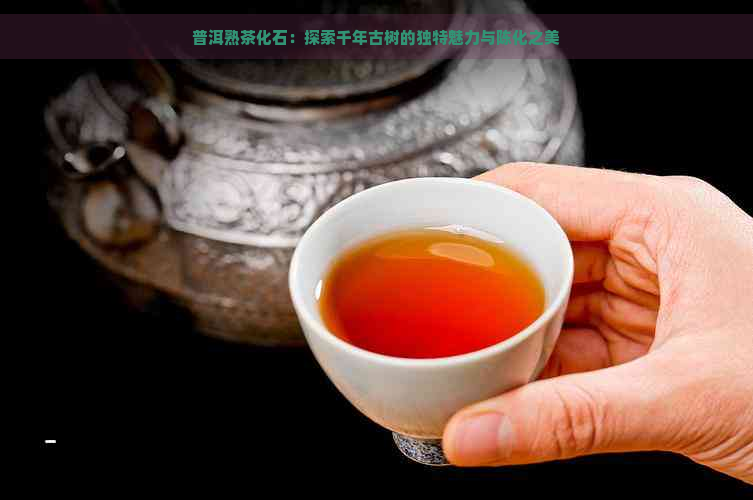 普洱熟茶化石：探索千年古树的独特魅力与陈化之美