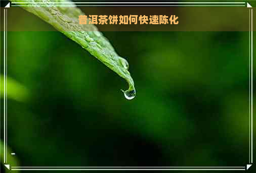 普洱茶饼如何快速陈化