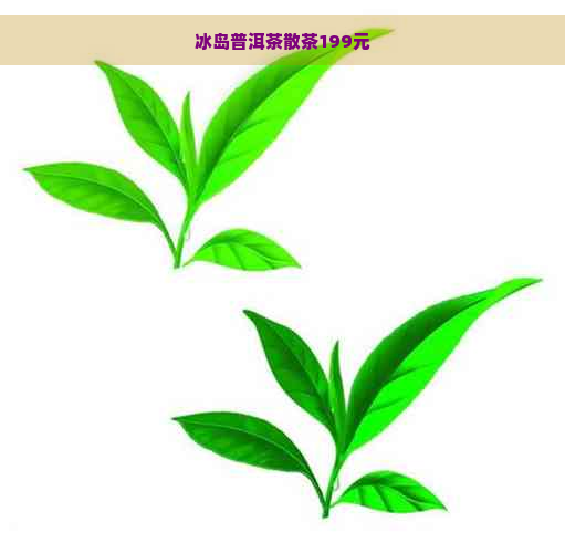 冰岛普洱茶散茶199元