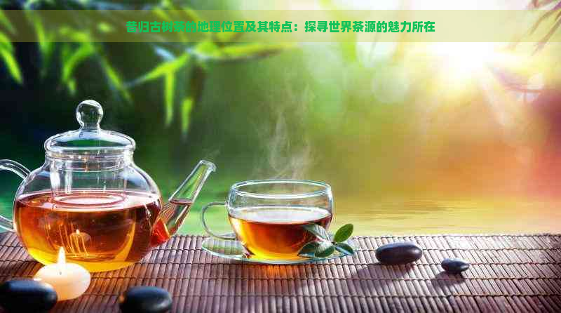 昔归古树茶的地理位置及其特点：探寻世界茶源的魅力所在