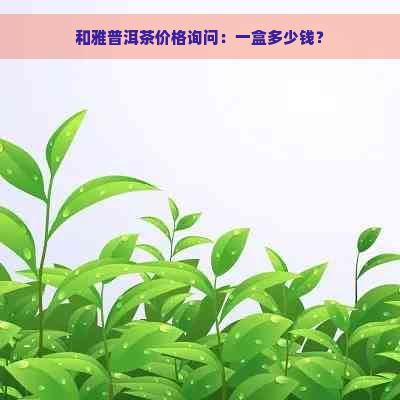 和雅普洱茶价格询问：一盒多少钱？