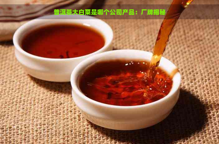 普洱茶大白菜是哪个公司产品：厂牌揭秘