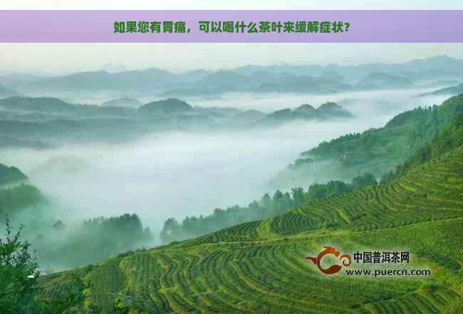 如果您有胃痛，可以喝什么茶叶来缓解症状？