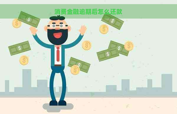 消费金融逾期后怎么还款