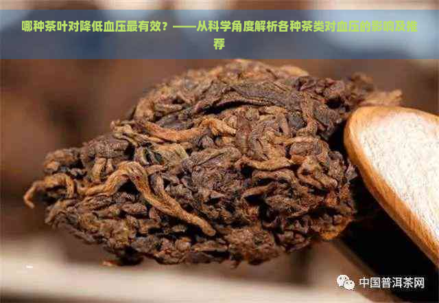 哪种茶叶对降低血压最有效？——从科学角度解析各种茶类对血压的影响及推荐