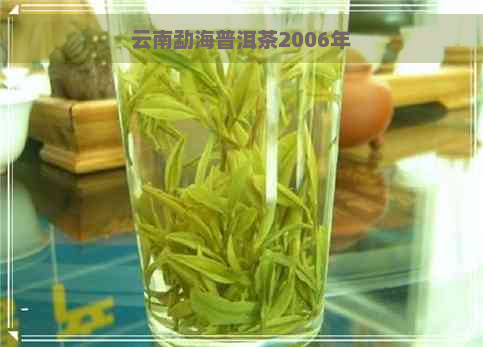 云南勐海普洱茶2006年