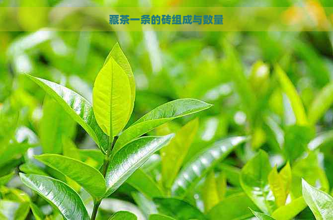 藏茶一条的砖组成与数量