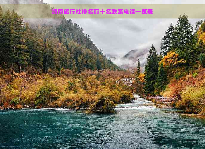 海南旅行社排名前十名联系电话一览表