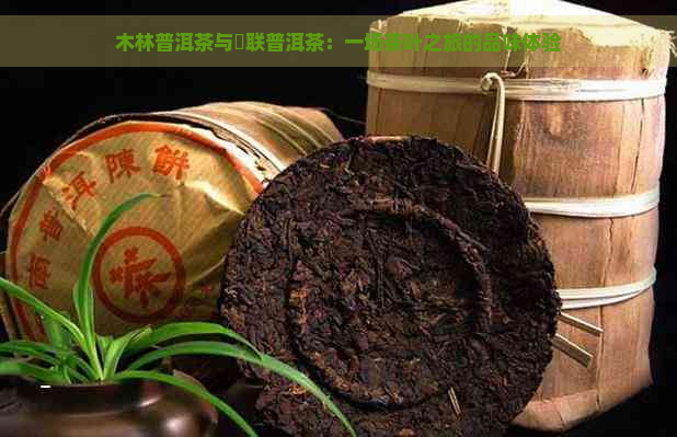 木林普洱茶与栢联普洱茶：一场茶叶之旅的品味体验