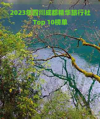 2023年四川成都精华旅行社Top 10榜单