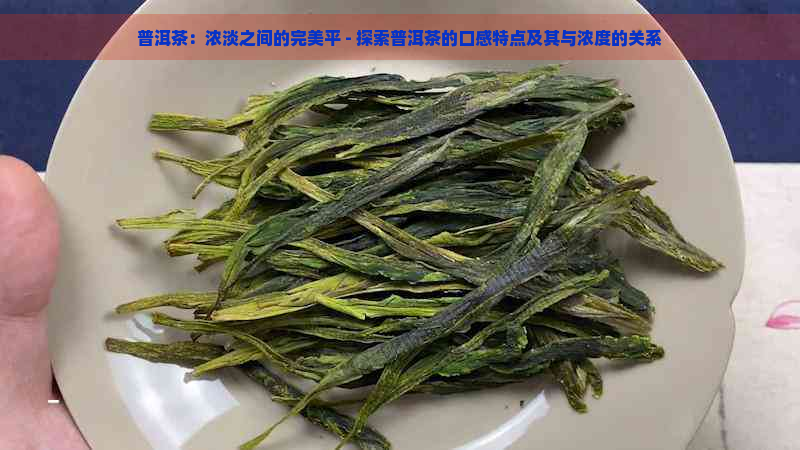 普洱茶：浓淡之间的完美平 - 探索普洱茶的口感特点及其与浓度的关系