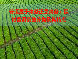 普洱属于浓茶还是清茶：探讨普洱茶的分类及其特点