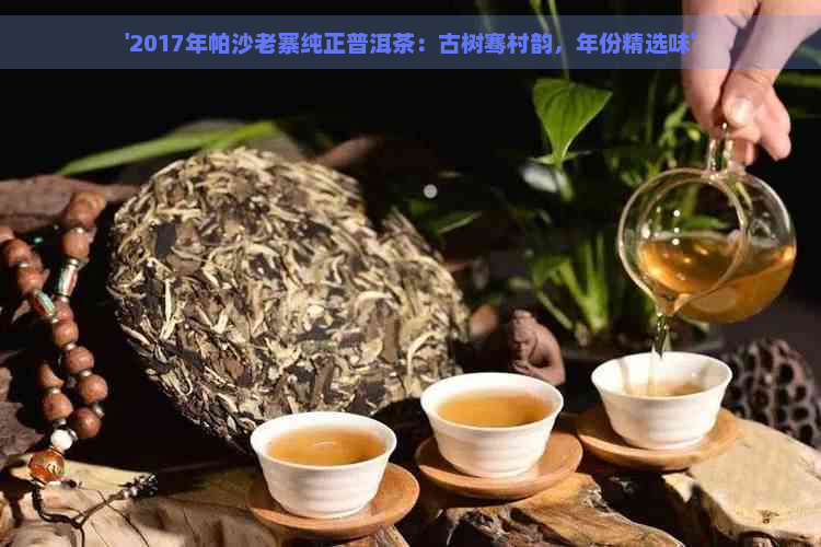 '2017年帕沙老寨纯正普洱茶：古树骞村韵，年份精选味'